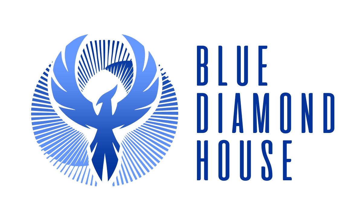 Blue Diamond House Artisan Gluten Free Vegan Bakery nichemarket